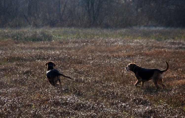 DSC_1715.JPG