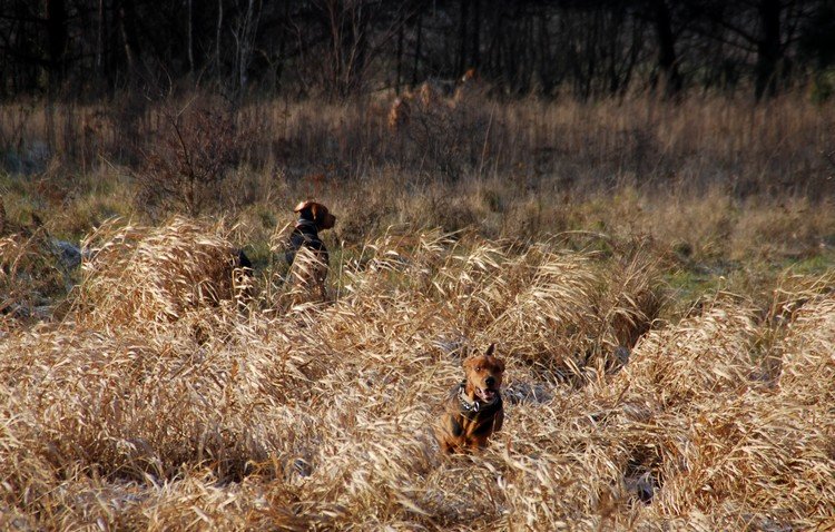 DSC_1749.JPG