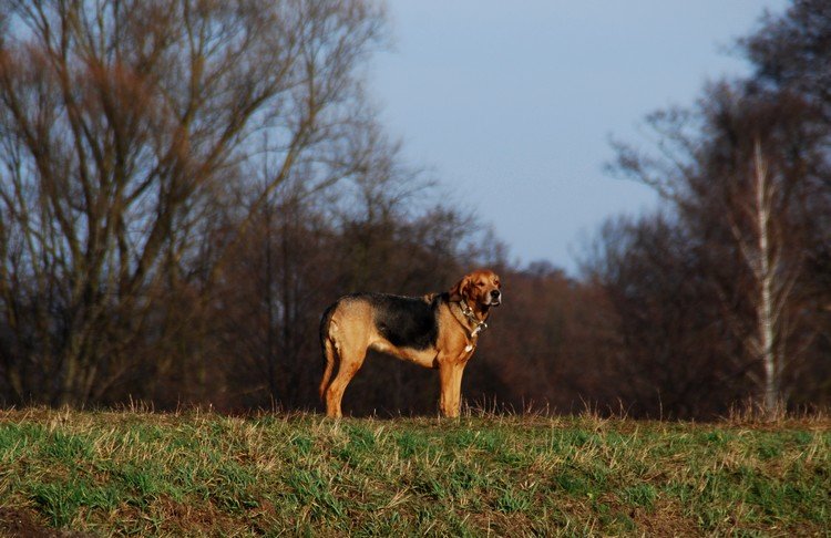 DSC_1786.JPG