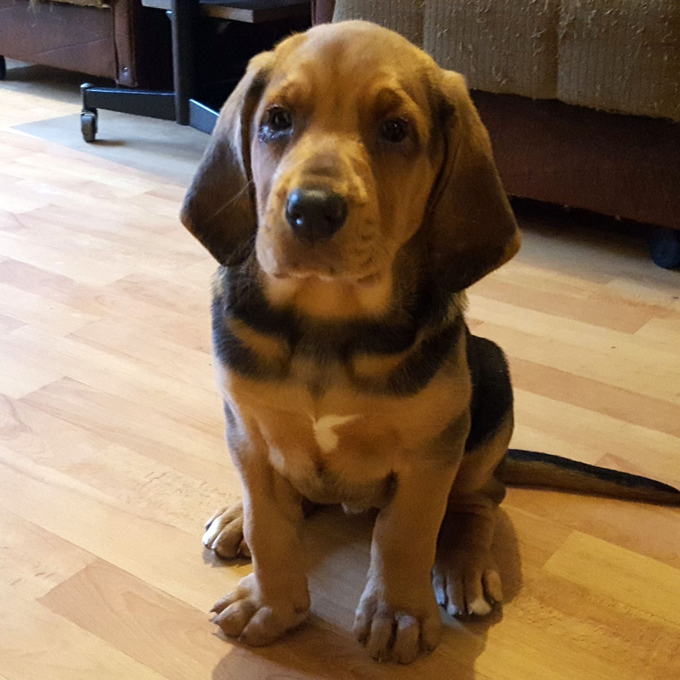 20201228_093457.jpg