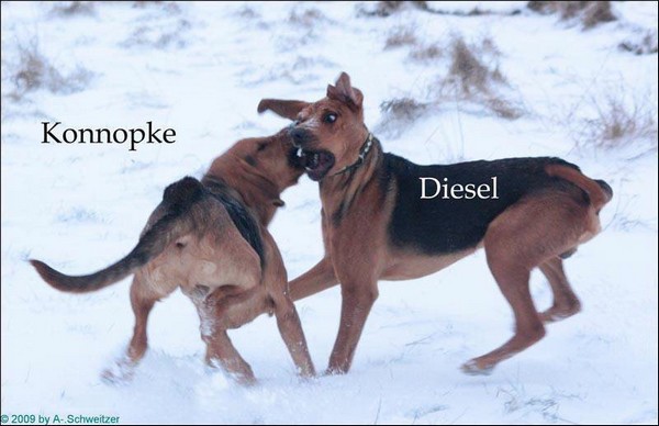 D u K111.JPG