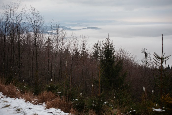 _RK54572_1920.jpg
