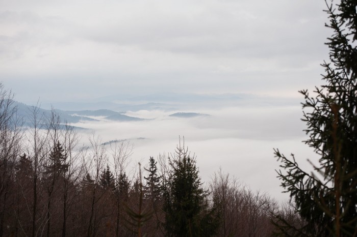 _RK54575_1920.jpg