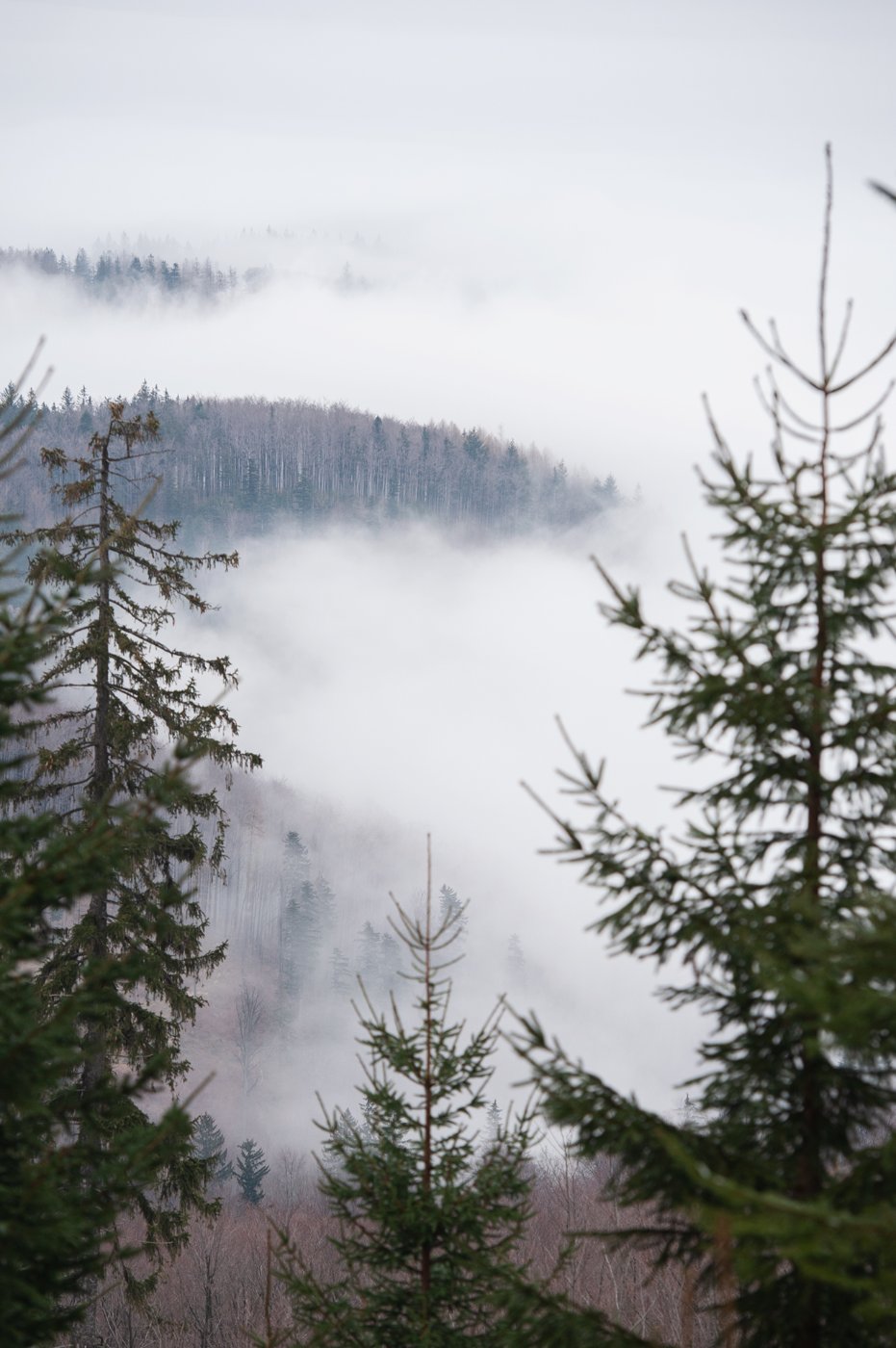 _RK54580_1920.jpg