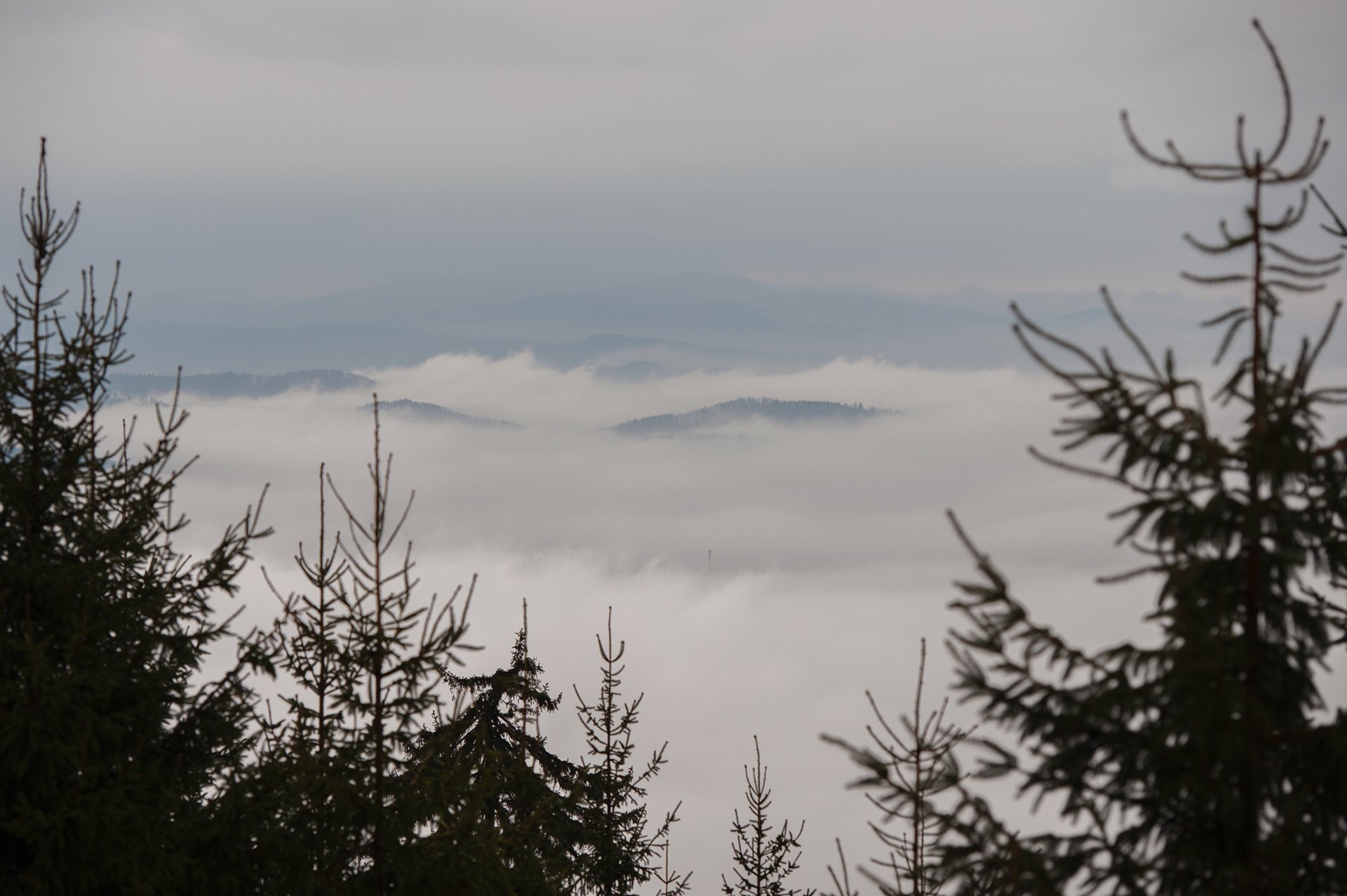 _RK54582_1920.jpg