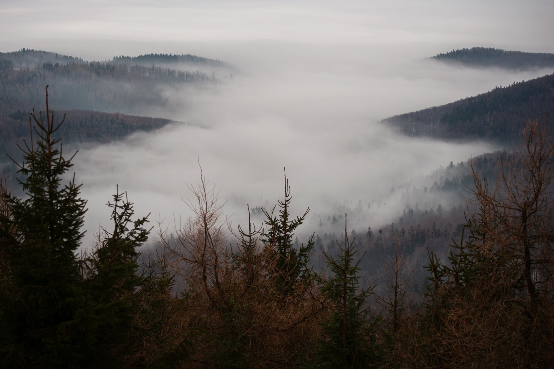 _RK54589_1920.jpg