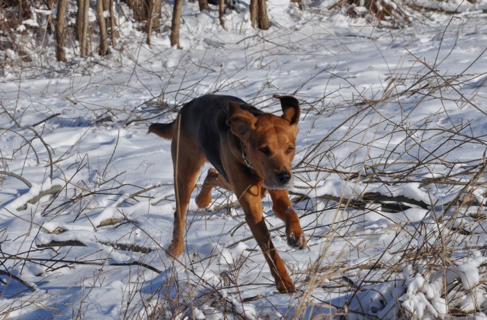 DSC_0042.JPG