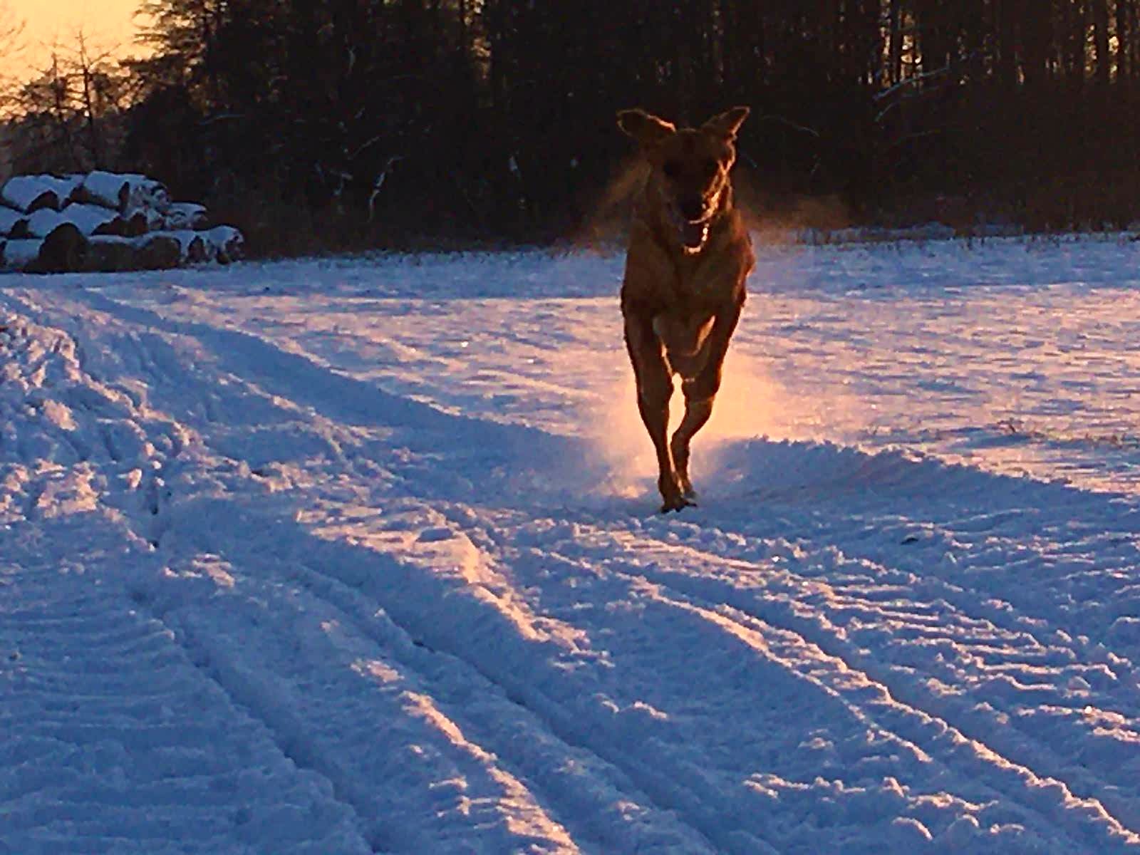 IMG-20210131-WA0000.jpg