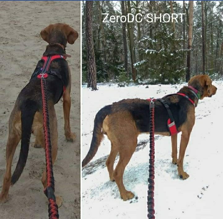 ZeroDC Short
