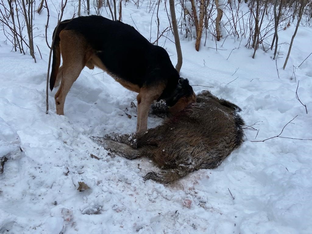 Zagaj 12.02.21.jpg