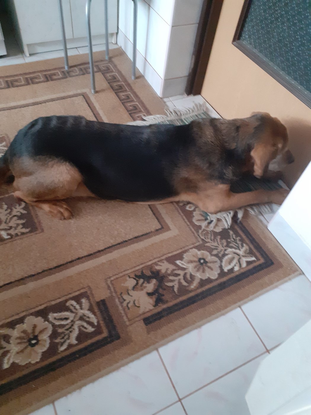 20201202_104753.jpg
