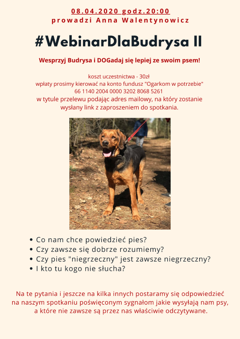 #WebinarDlaBudrysa-5.png