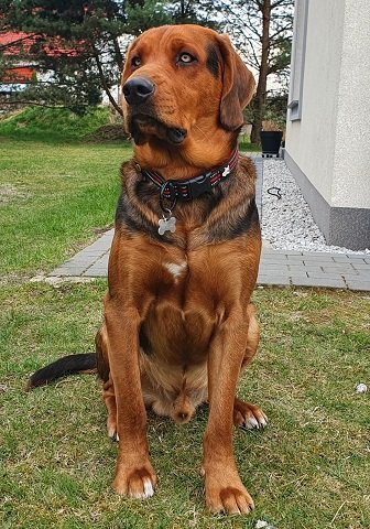Ares 4.jpg
