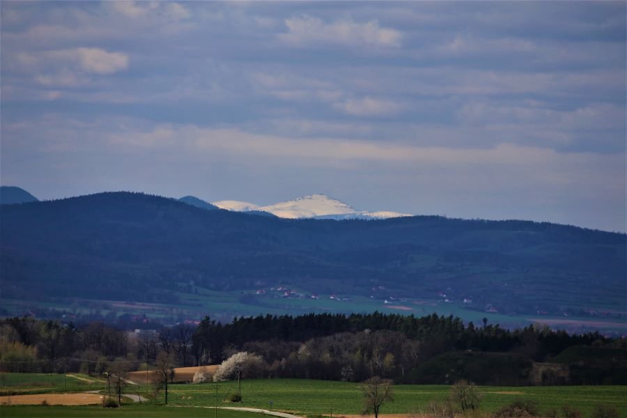 Widok z Niemczańskich Wzgórz na śnieżne Karkonosze.