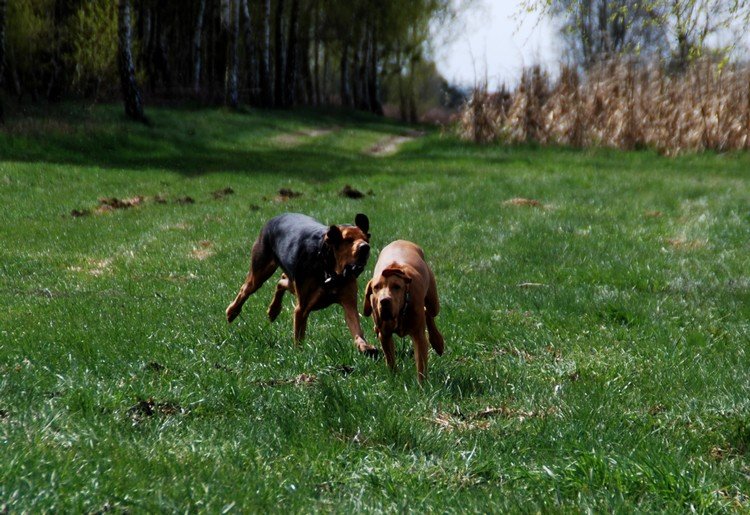 DSC_2530.JPG