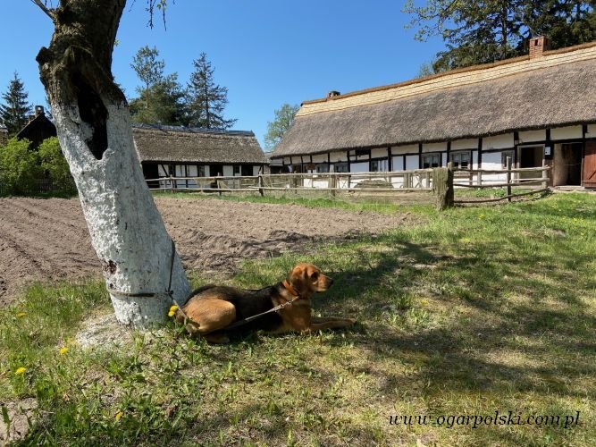 Skansen w Klukach.