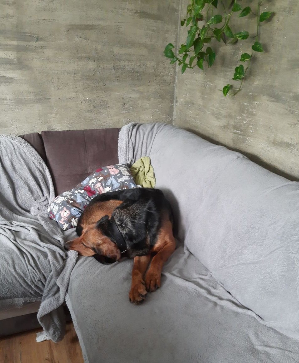 Resized_20210716_145323.jpeg