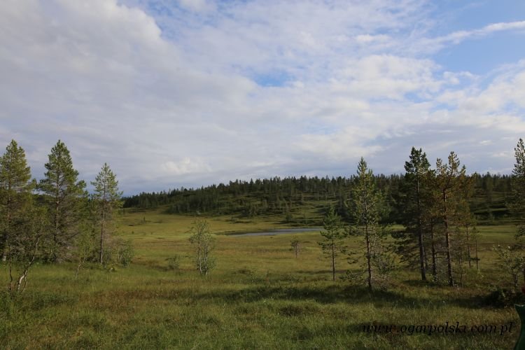 Krajobraz bardziej północny.