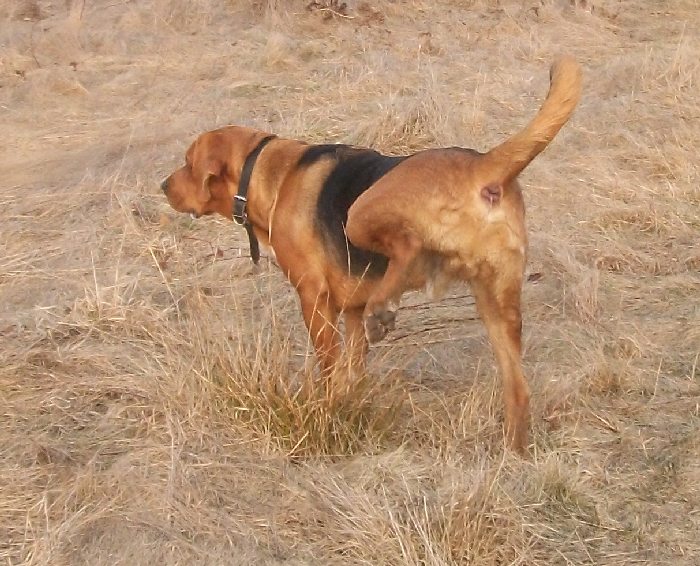 Obraz 004.jpg