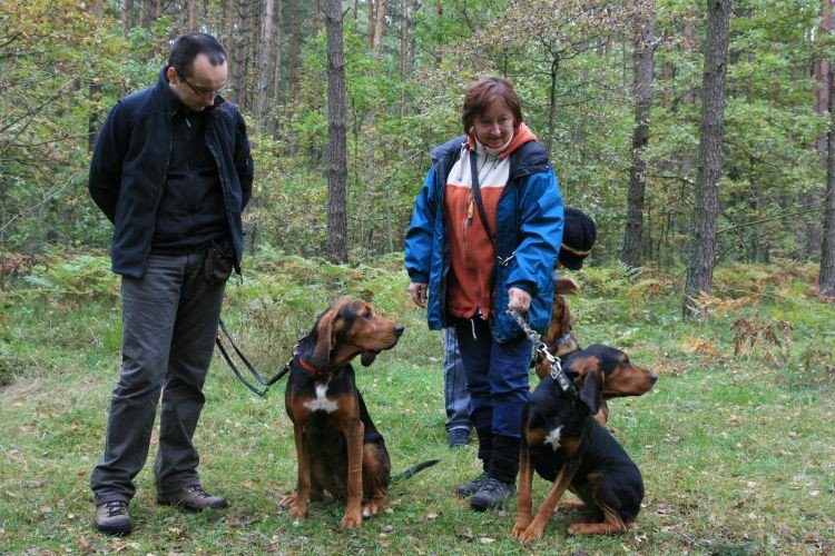 Zlot Ogara Sulejów 2010.