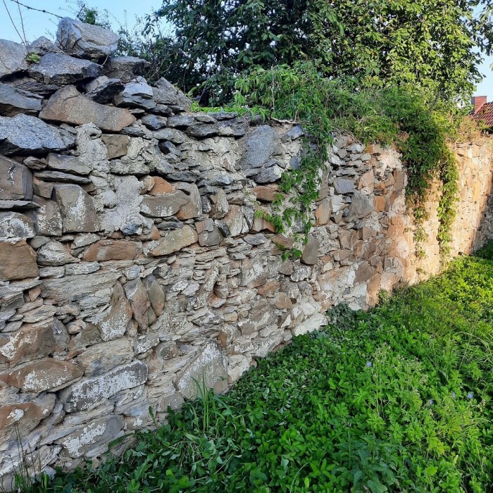 stare murki