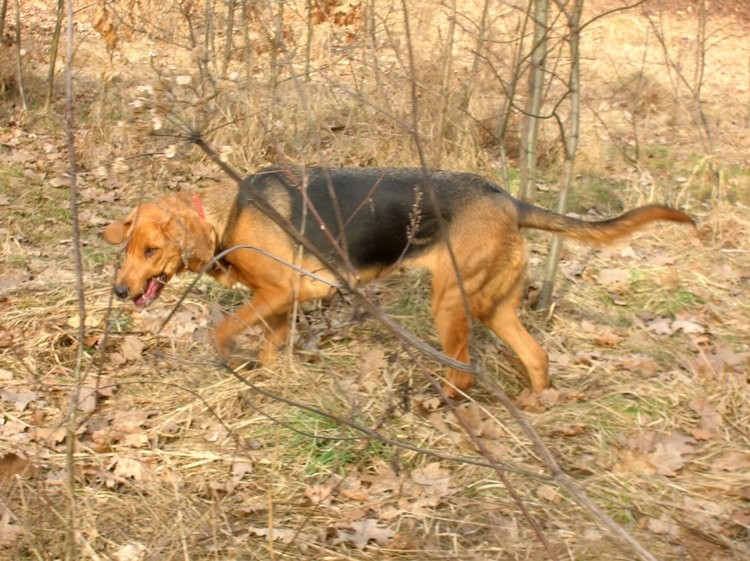 DSCN3927.JPG