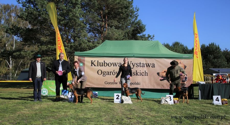 Klasa młodzieży