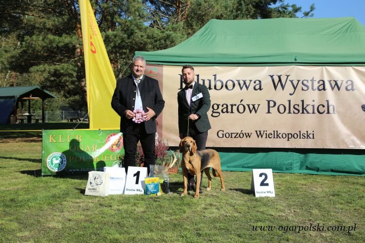 Klasa weteranów