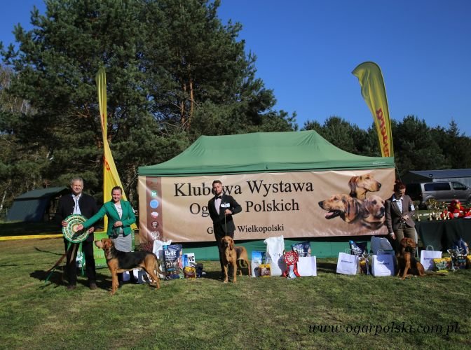 Najlepsi z najlepszych!