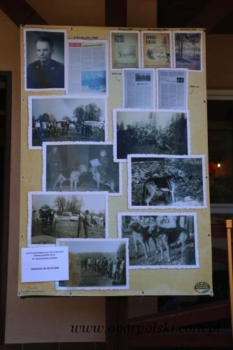 IMG_9078.JPG