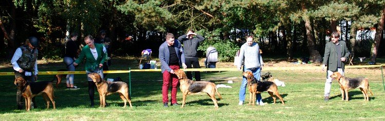 DSC_4189.JPG