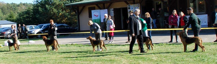 DSC_4201.JPG