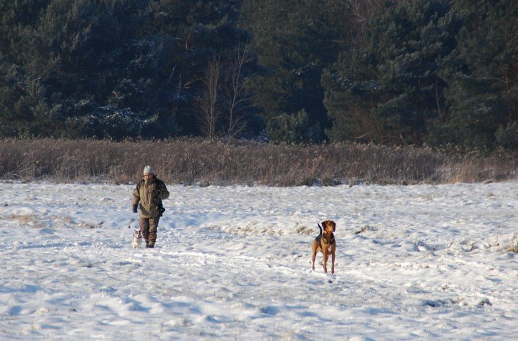 Goście (a może raczej tubylcy ) nadchodzą :)