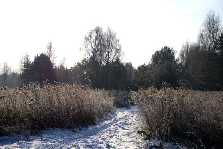 Dalsza trasa