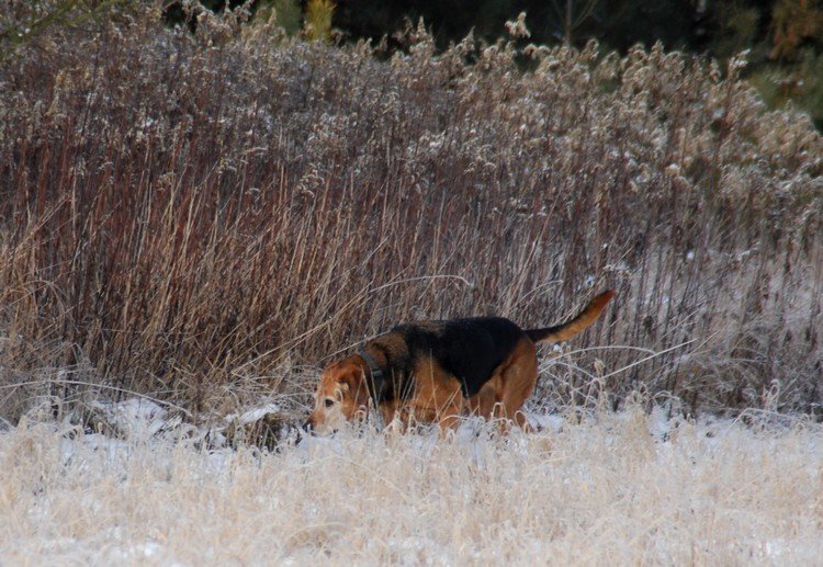 DSC_4877.JPG