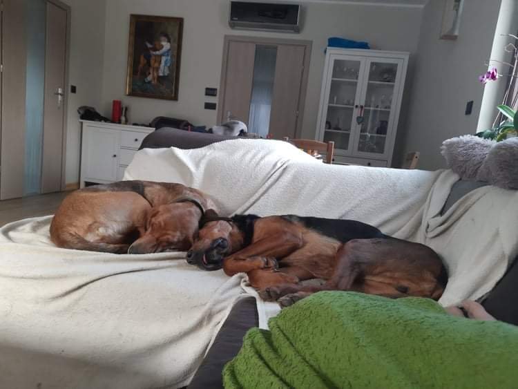 received_643063460176761.jpeg