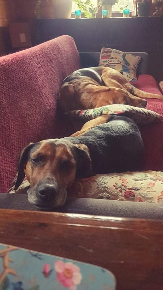 received_1092366111521151.jpeg