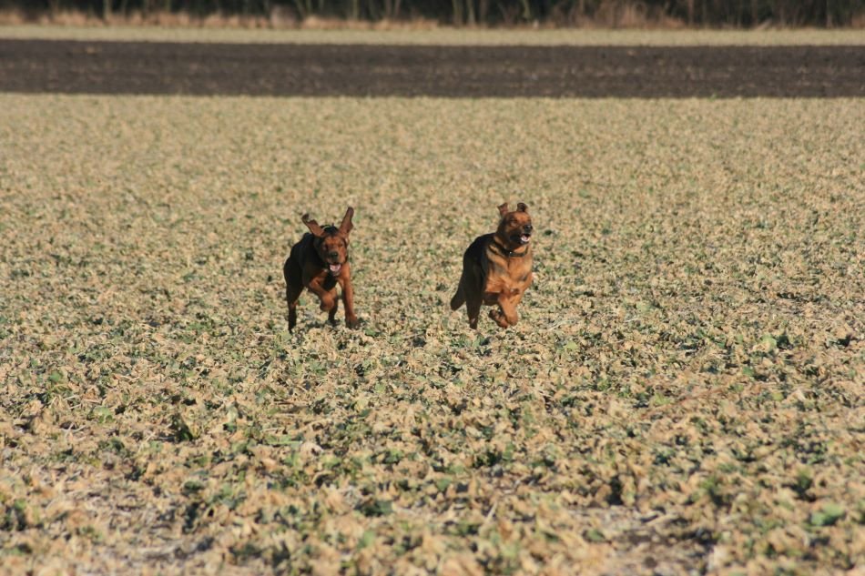 Świetny duet.