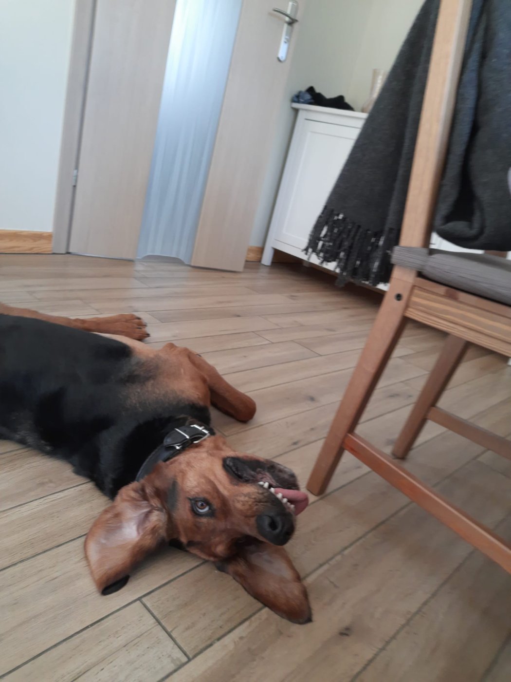 Idziemy na ten spacer:)