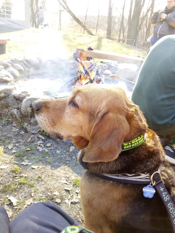 W oczekiwaniu na dekoracje grzejemy zadki przy ognisku