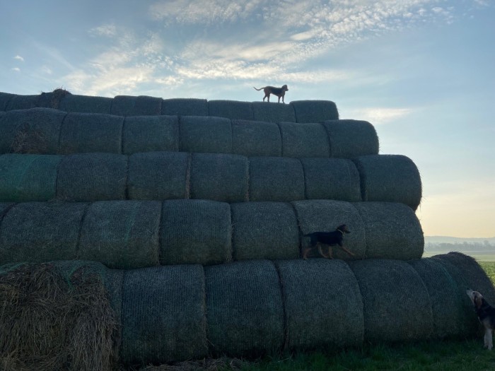 SZCZYT MOŻLIWOŚCI: Fatra, Jagna, Zajo