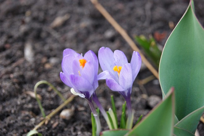 DSC01008.JPG