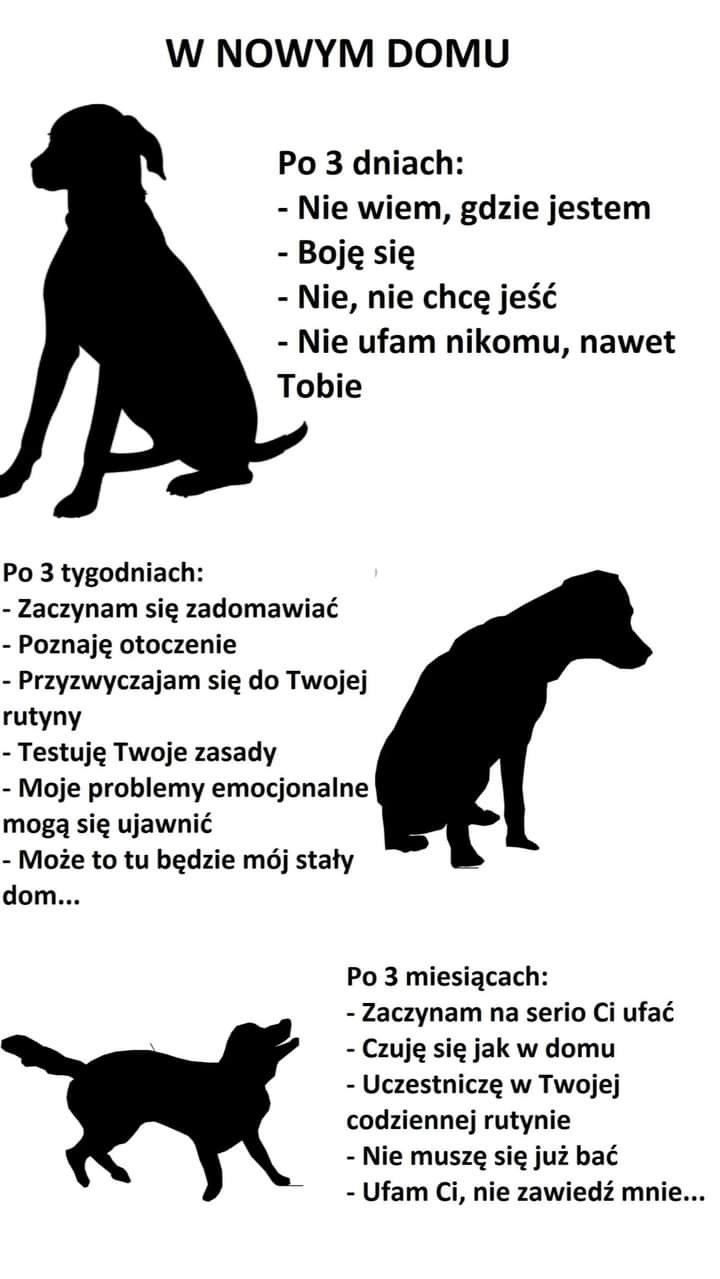FB_IMG_1652829031972.jpg