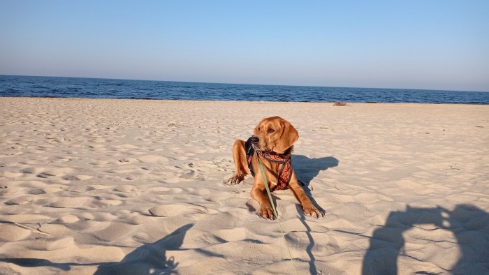 Plażowe.jpg