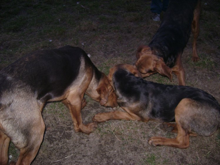 DSC00005.jpg