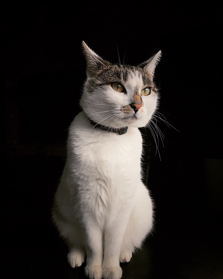 D46B759C-A755-48FA-BA8F-2CC3CDF6D192.jpeg