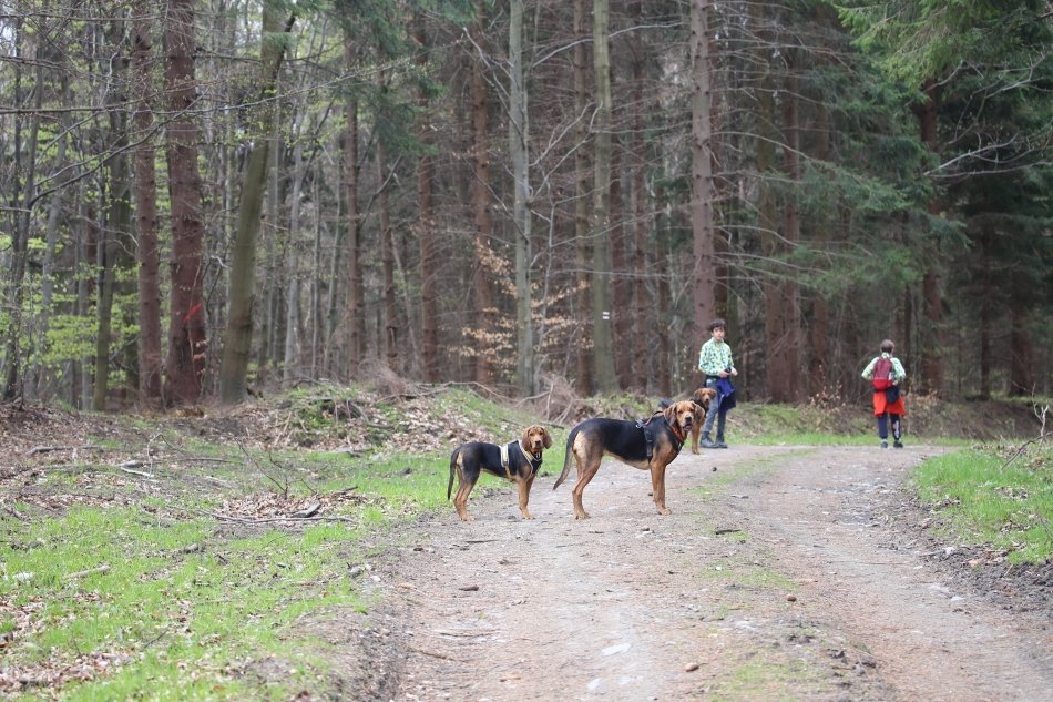 Pierwsze Jagny wyjście na cały dzień w góry. Koleżanki ją wspierały.