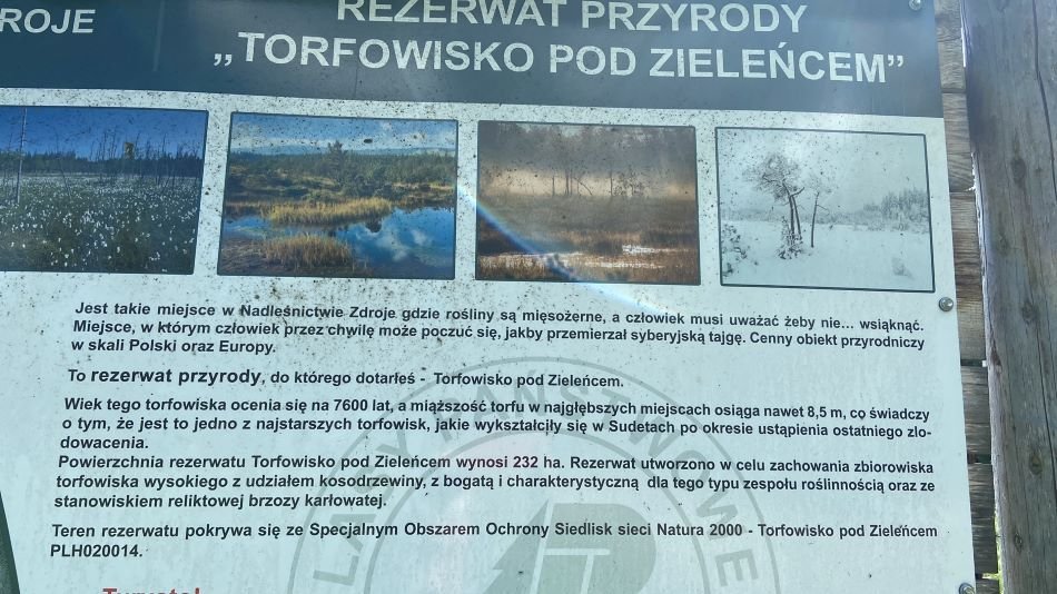 Szybki wyjazd i szybkie wejście na torfowiska w Zieleńcu.