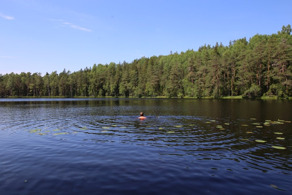 Kolejne torfowe bagno