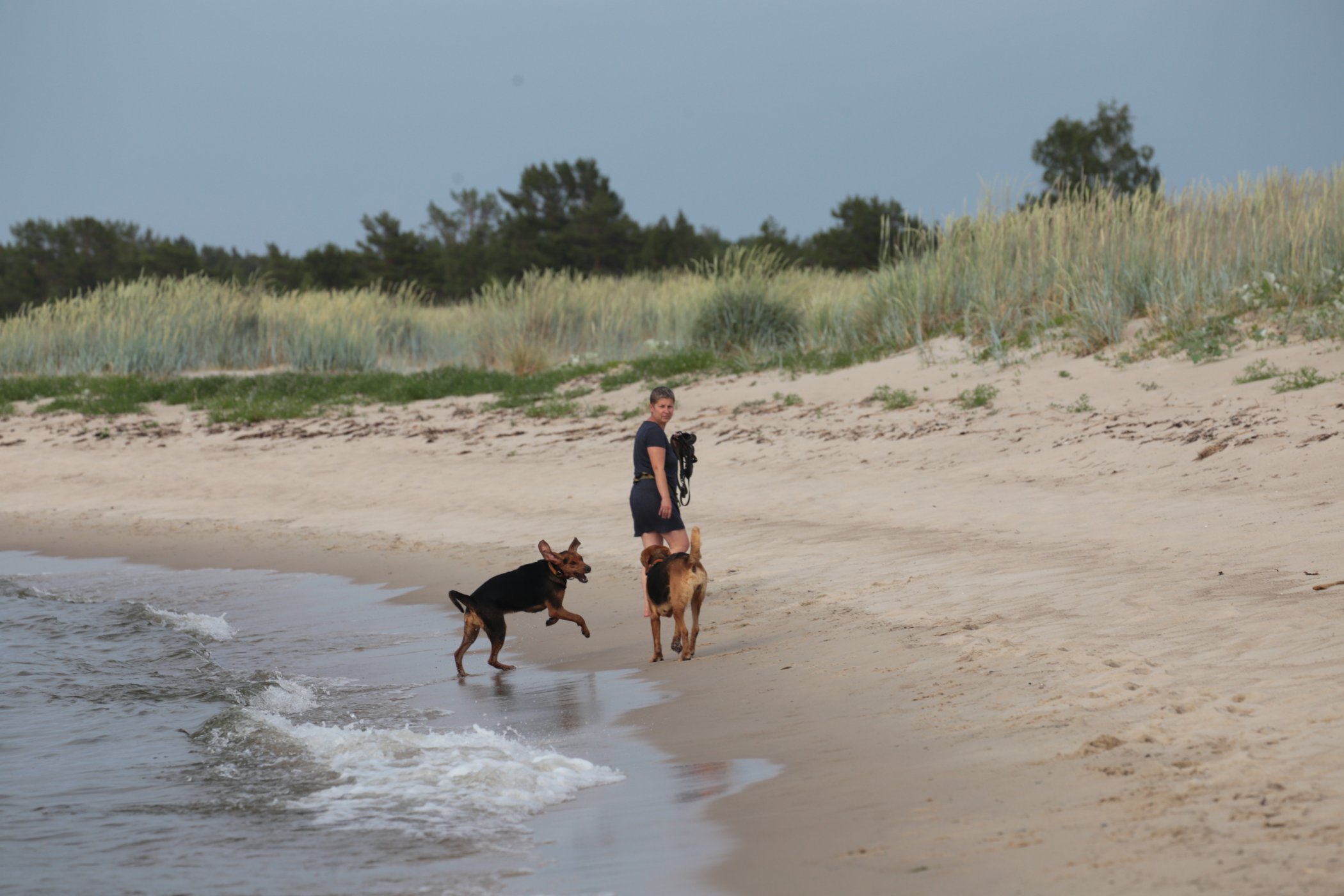 Wyspa Saaremaa.